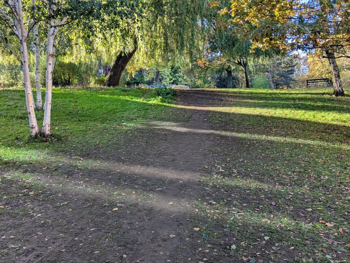 The edges of desire: on black walnuts and plantains