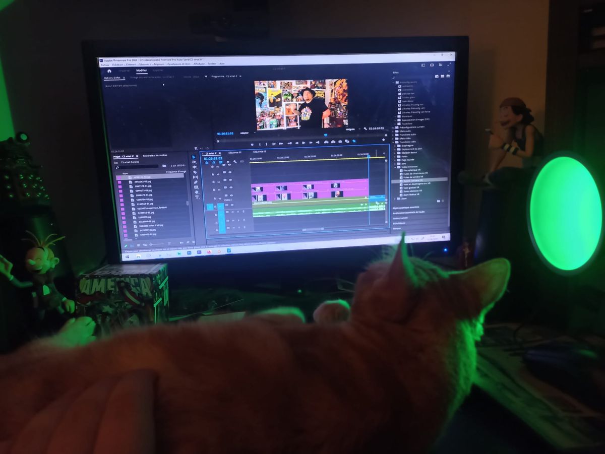 Globule, ma matoune rousse, couchée sur mon clavier, se fait gratouiller et regarde l'écran où je monte la vidéo.