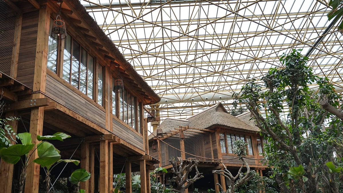 L'entreprise Prihoda, basée à Kuurne, se distingue par une prouesse technologique à Pairi Daiza