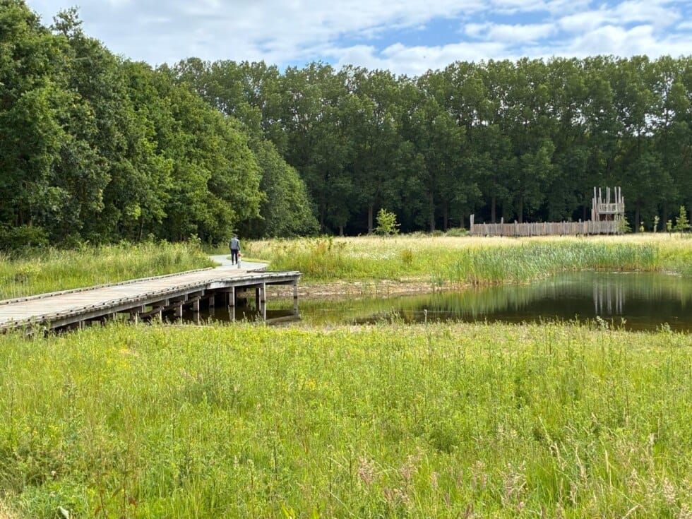 De nouveaux sentiers sur caillebotis dans le domaine provincial De Gavers