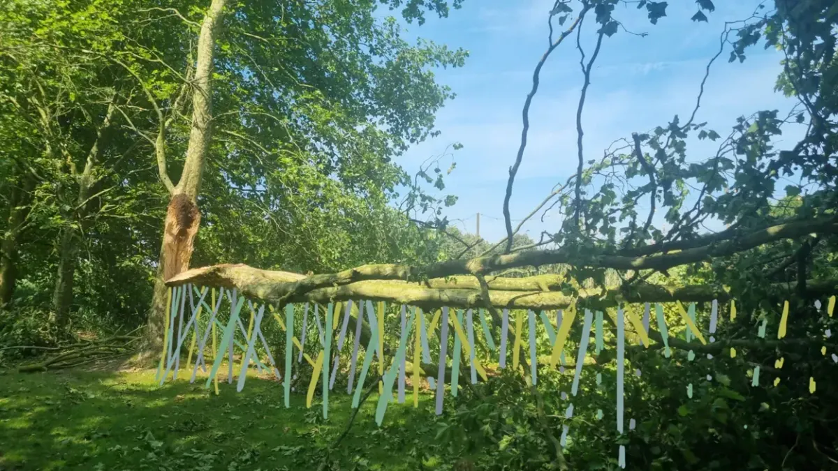 BUTOR: hedendaagse kunst doet zijn intrede op het platteland