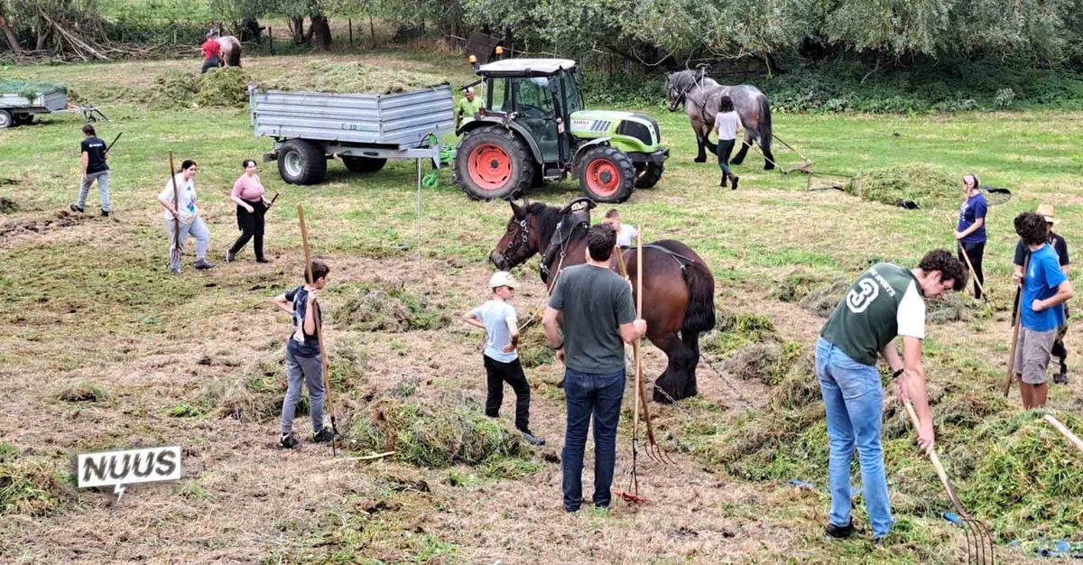 Des bénévoles de Belgique et de France retroussent leurs manches au bois de 't Ename