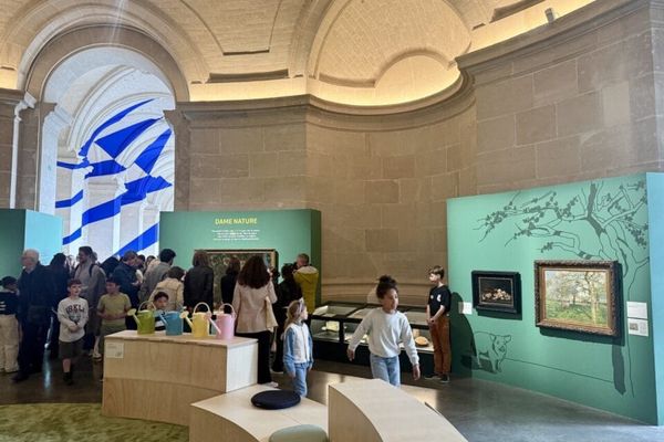 Palais des Beaux-Arts opent een gratis Kindermuseum