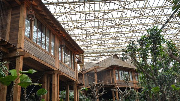 L'entreprise Prihoda, basée à Kuurne, se distingue par une prouesse technologique à Pairi Daiza