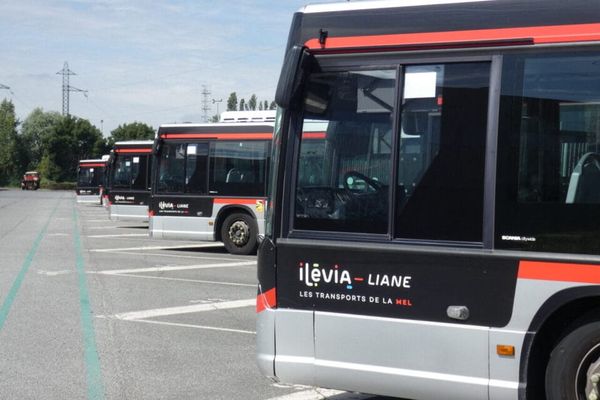 Ilévia onthult het nieuwe busnetwerk van de metropool Rijsel: zes soorten lijnen, waaronder nieuwe