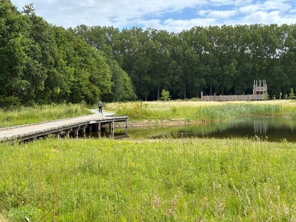 De nouveaux sentiers sur caillebotis dans le domaine provincial De Gavers