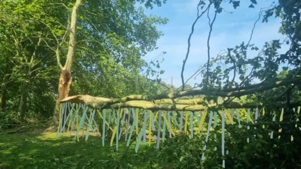 BUTOR: hedendaagse kunst doet zijn intrede op het platteland