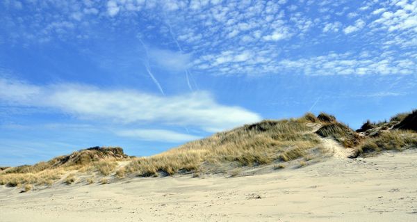 Grand Site de France Dunes de Flandre: twee dagen om de natuur in het groot te beleven