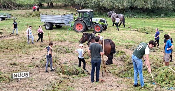 Des bénévoles de Belgique et de France retroussent leurs manches au bois de 't Ename