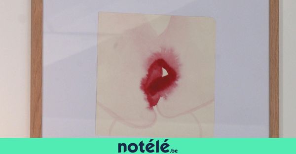 Een tentoonstelling over het vrouwelijk lichaam in het Hôpital Notre-Dame à la Rose