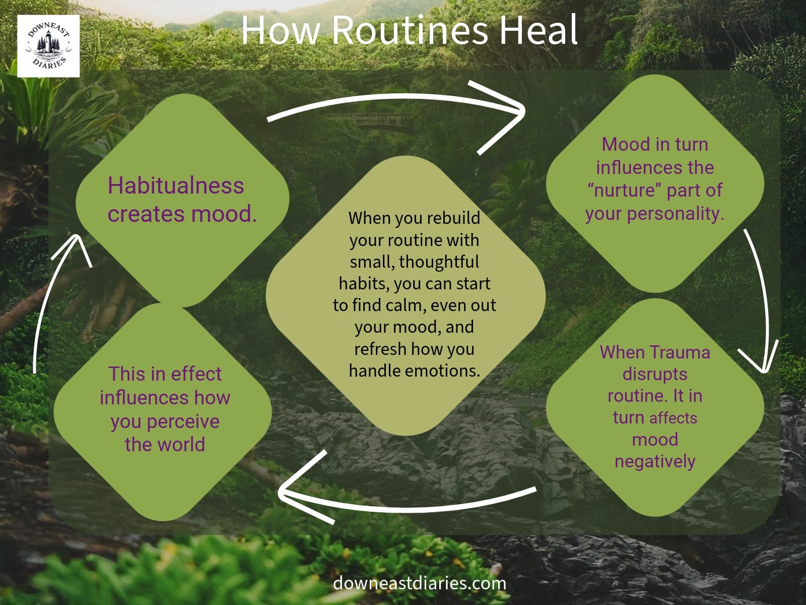 Flowchart showing how routines impact mood, personality, and perception while trauma disrupts the cycle.