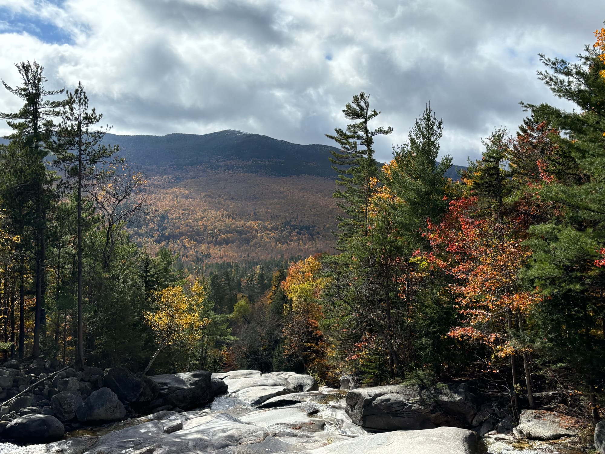 A peaceful hiking trail surrounded by vibrant autumn foliage in Maine, symbolizing personal growth and healing.