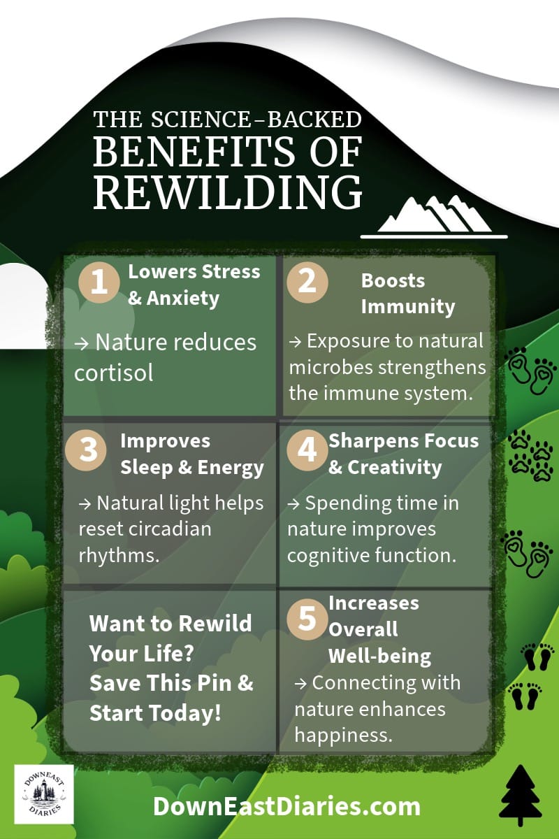 Infographic on the science-backed benefits of rewilding, showing how nature reduces stress, boosts immunity, and improves sleep.
