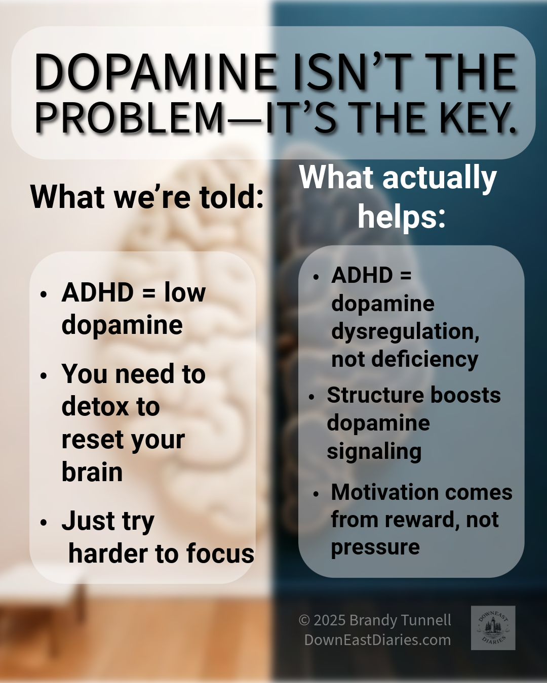  Infographic showing truths about dopamine and ADHD with vertical divider.