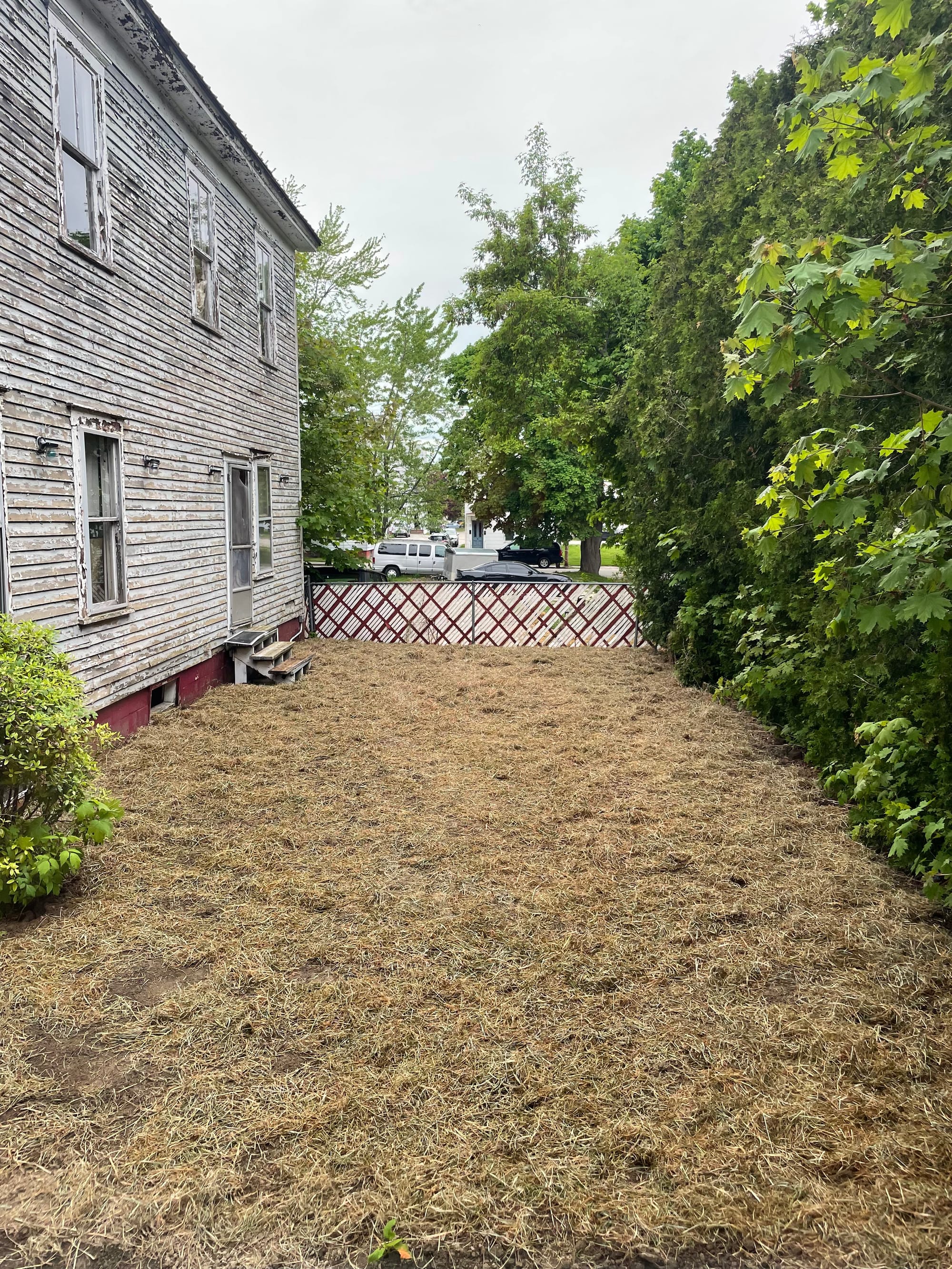Leveled backyard after pool removal, cleared and ready for native garden planting.