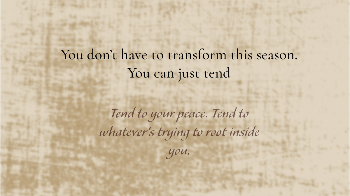 Inspirational quote graphic on a rustic linen background, reading ‘You don’t have to transform this season. You can just tend.’ Soft, earthy tones create a calming, hopeful mood.