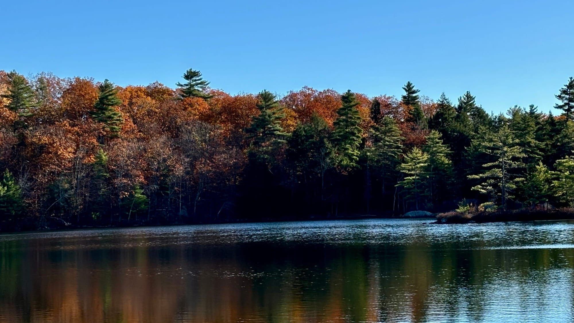 A calm view of the Androscoggin River in the fall, surrounded by vibrant autumn foliage under a clear blue sky.