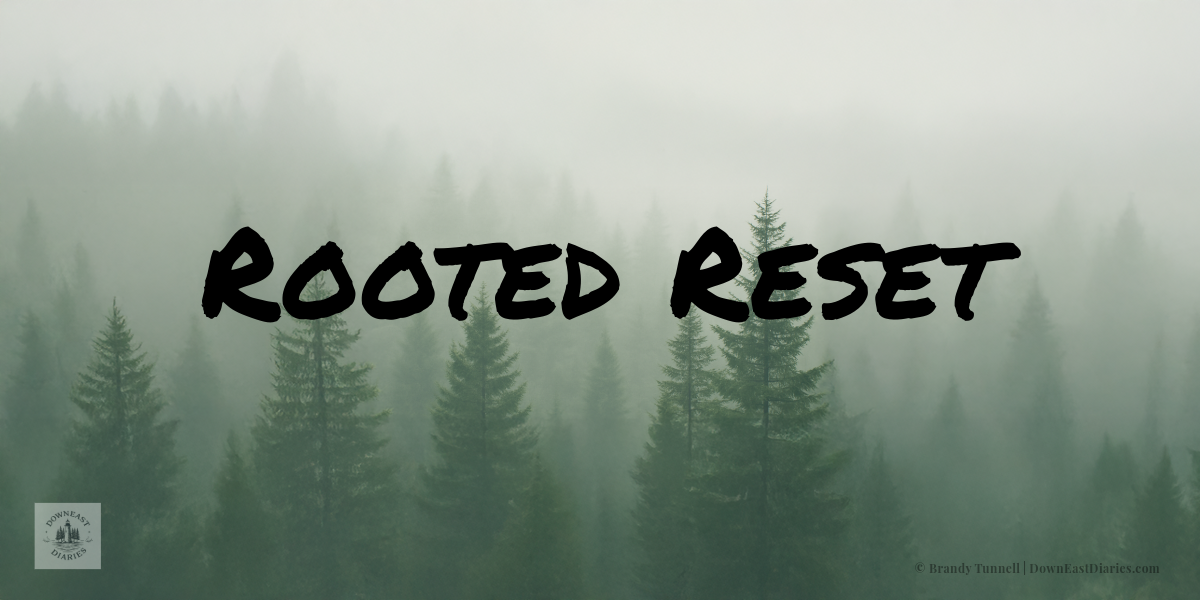 Rooted Reset: A Gentle Place to Begin Again