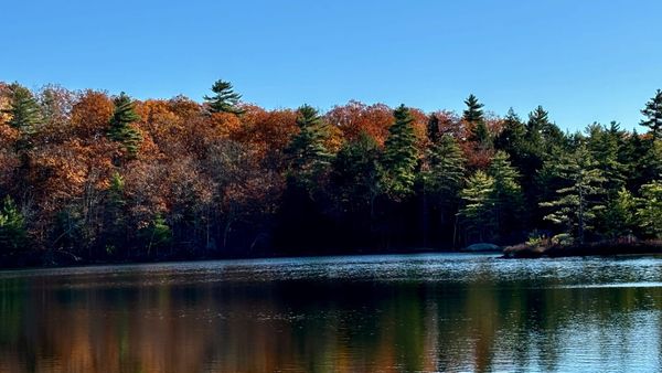 A calm view of the Androscoggin River in the fall, surrounded by vibrant autumn foliage under a clear blue sky.