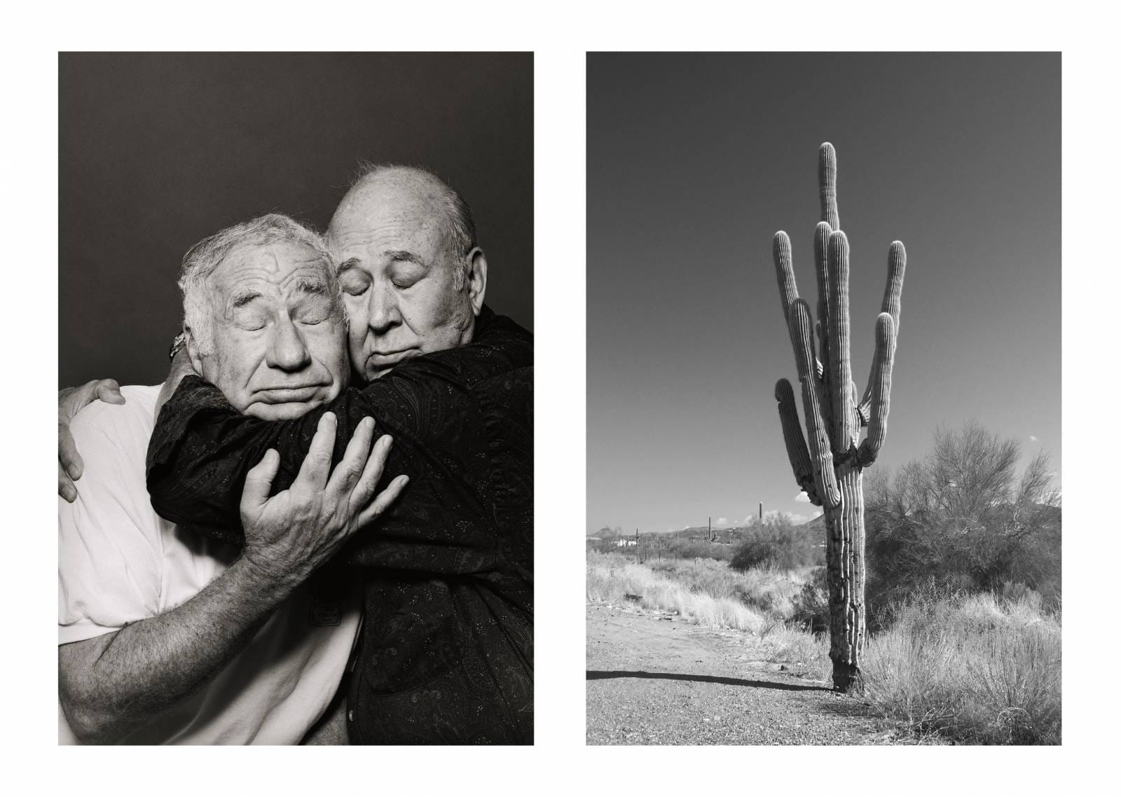 Photographic Treatment