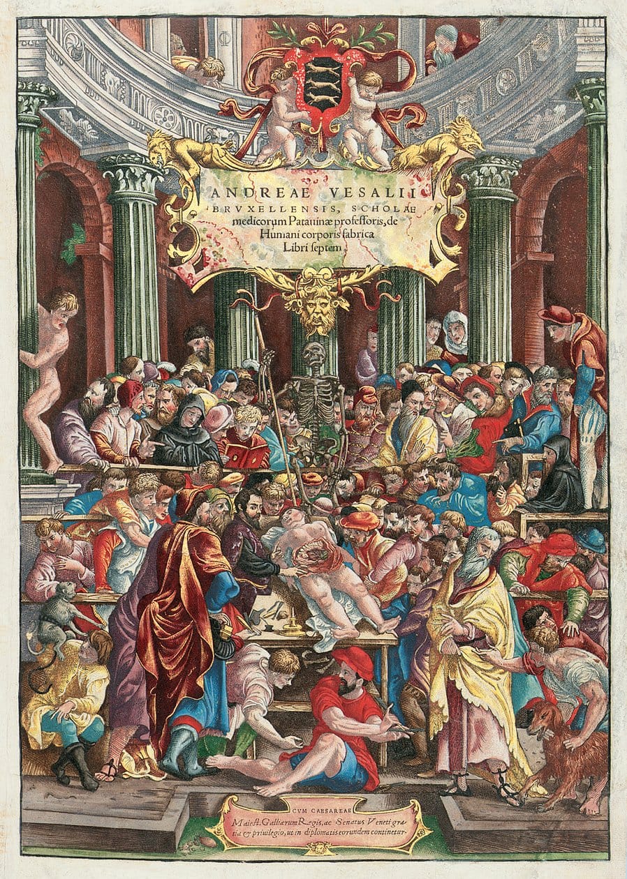 Venetian_School_-Frontispiece_to_De_Humani_Corporis_Fabrica_Libri_Septem_by_Andreas_Vesalius(151_-_(MeisterDrucke-450307).jpg