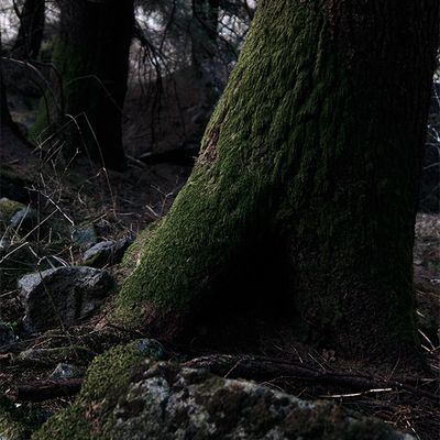 #2023.0 Venti ventitré