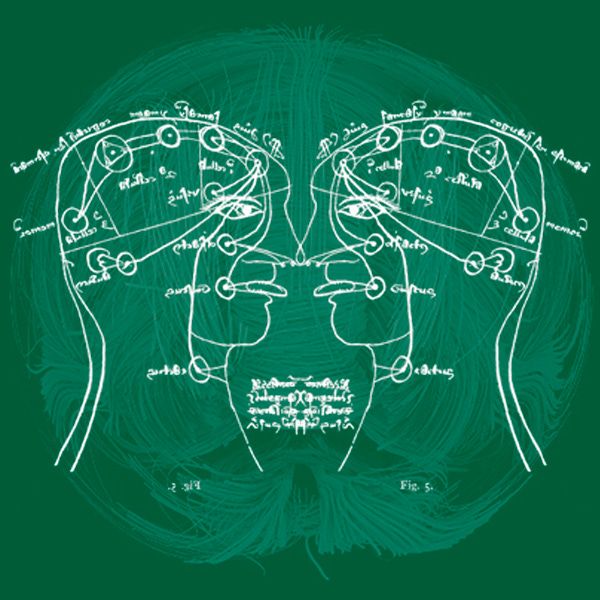 #2.3 La comoda economia dell’identico