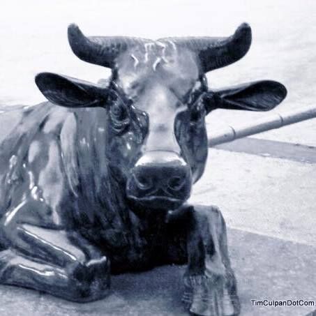 The Tech Cold War with Tim Culpan