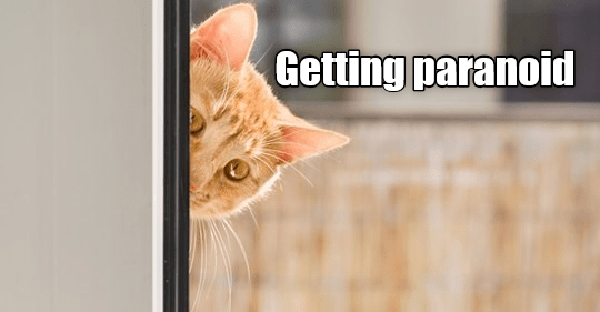 Demonstrating Their Paranoid Style: Notes on The Interrogator