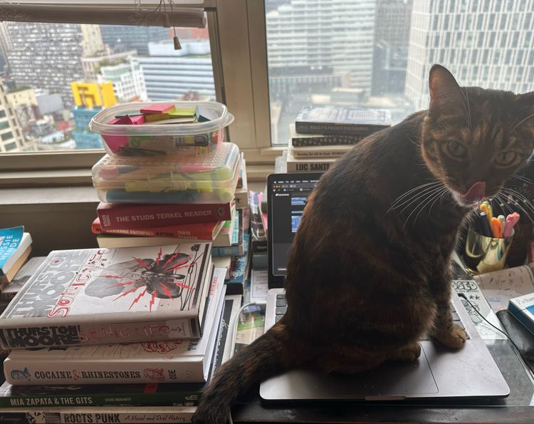 I Love a Mans in a Uniform: Reviews of new albums by Uniform, Weak Signal, Liberty & Justice, Tenue, Nick Cave & the Bad Seeds, Faucheuse, and more!