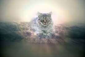 21st Century Bad Seed