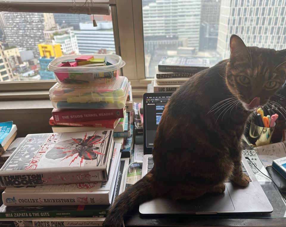 I Love a Mans in a Uniform: Reviews of new albums by Uniform, Weak Signal, Liberty & Justice, Tenue, Nick Cave & the Bad Seeds, Faucheuse, and more!