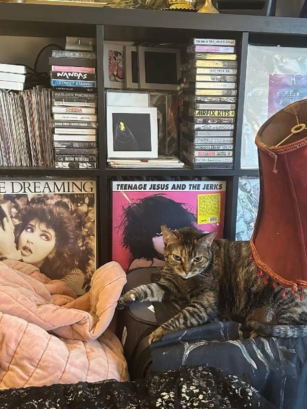 Punk & Metal & Country & Western Civilization Roundup