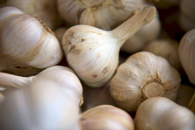 Clove of life: Raw white garlic emerges as a potent ally for heart health