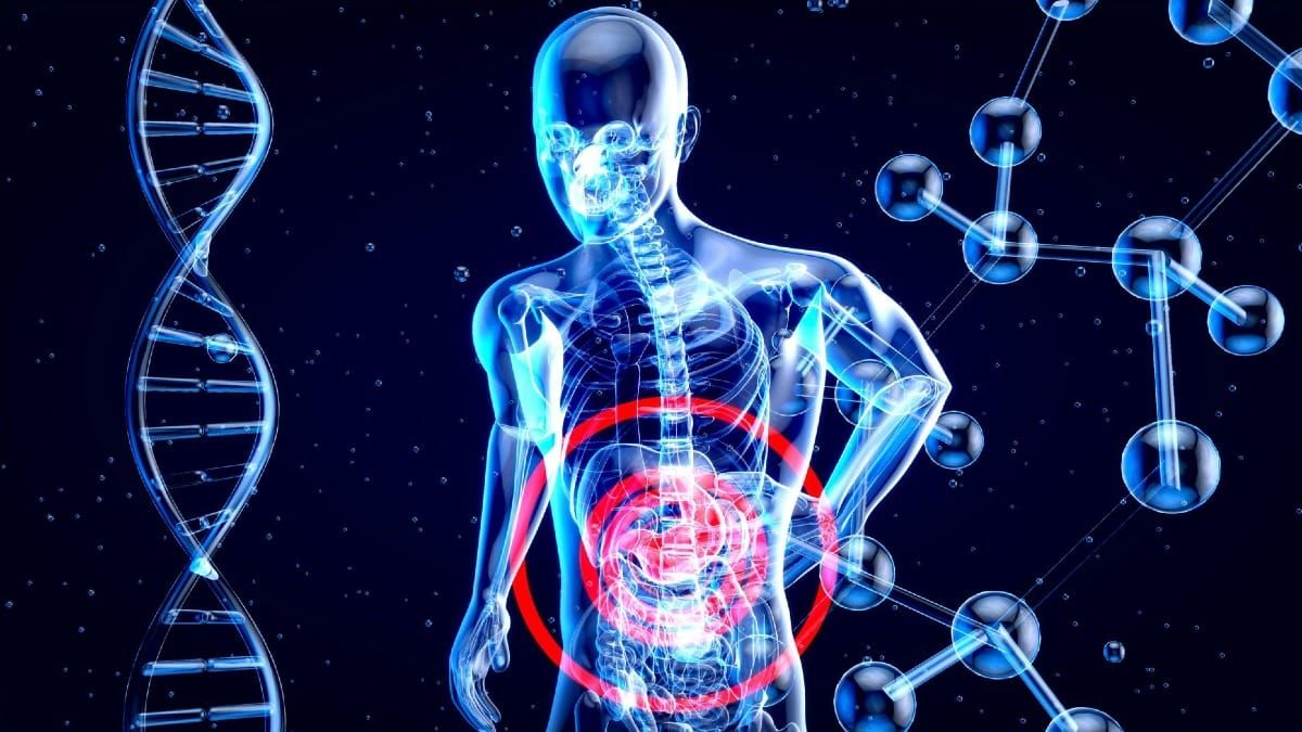 Unveiling the gut-brain axis: Genes, microbes, and aging