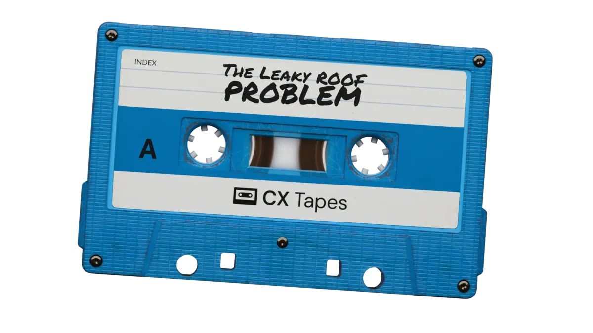 The leaky roof problem