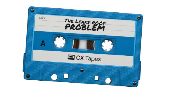 The leaky roof problem