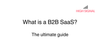 What is a B2B SaaS?