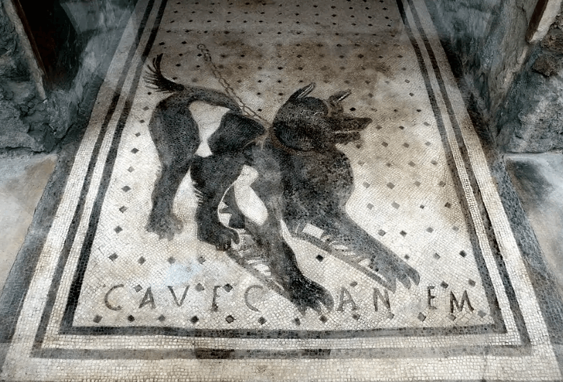 A black and white mosaic with a dog on it

AI-generated content may be incorrect.