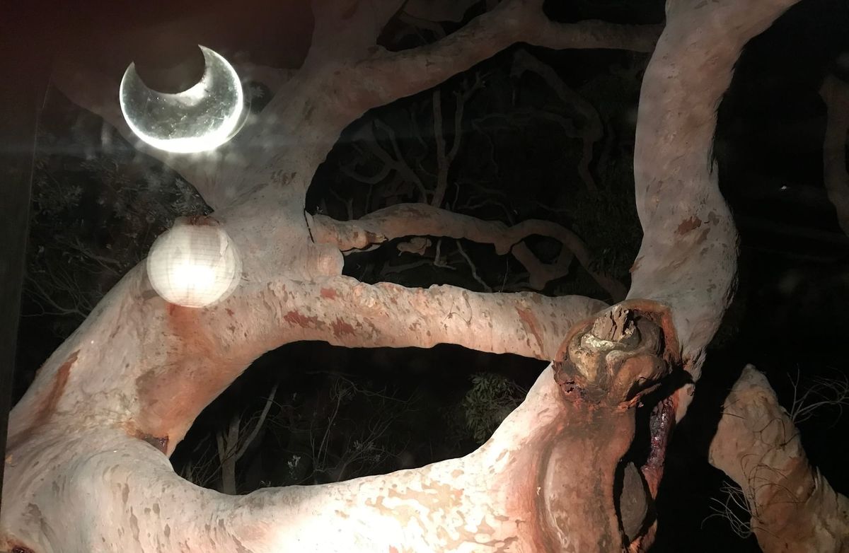 TALES FROM  THE END OF THE WORLD