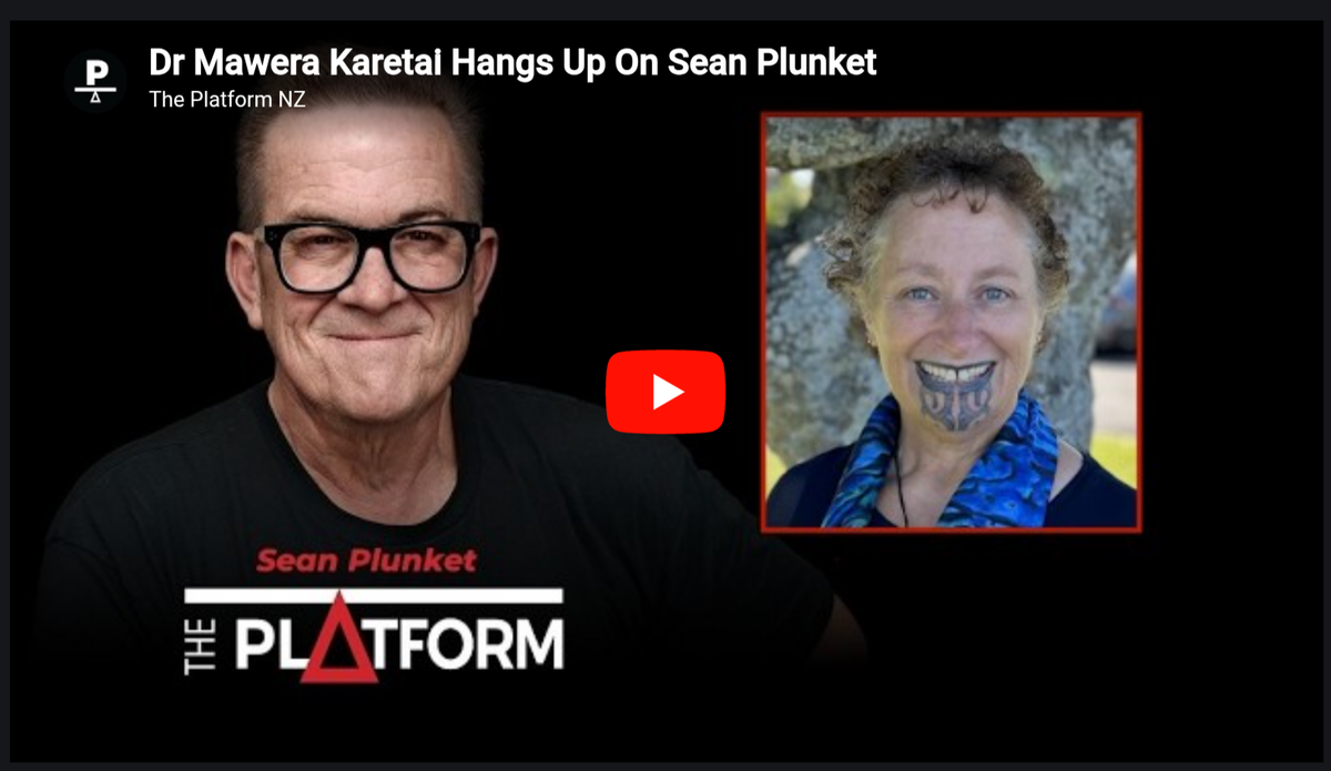 "The Silencer: How Sean Plunket Weaponises the Microphone Against Māori Climate Truth" - 8 April 2026