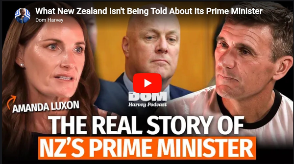 "While whānau go hungry, Amanda Luxon went on the radio to tell us the dog wearing the silk suit is actually a rangatira. We have the receipts. We are burning the suit." - 4 April 2026