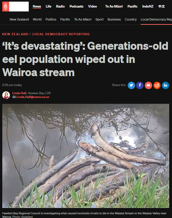 “The Waiatai Stream Massacre” - 16 January 2026