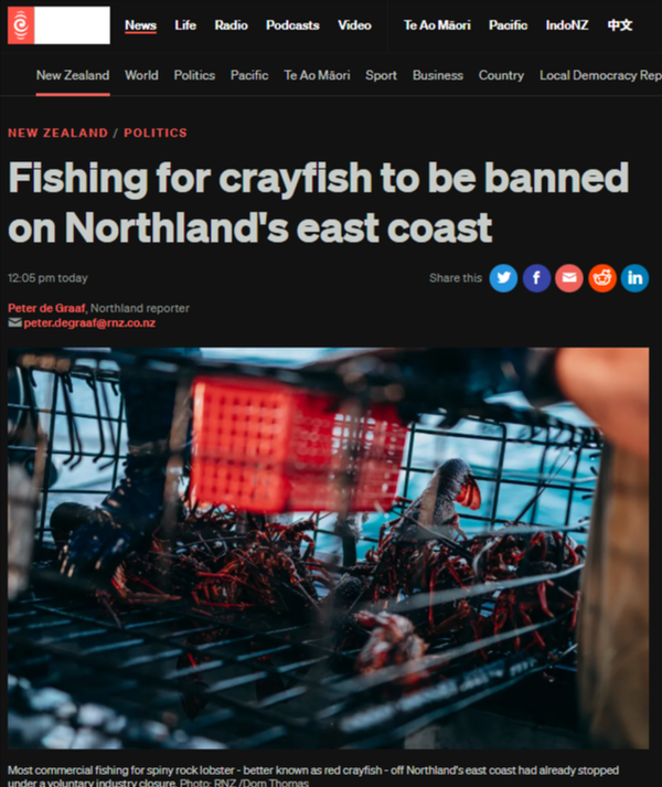 “The Crayfish Closure: A Corrupt Minister’s Theatre Masking Ocean-Wide Devastation” - 19 December 2025