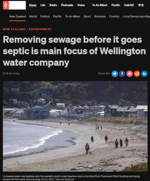 “The Wellington Septic Debacle: A Government Happy to Have You Swim in Its Own Shit” - 7 February 2026