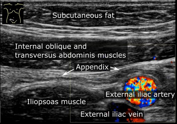 Aprender a leer el cuerpo vivo