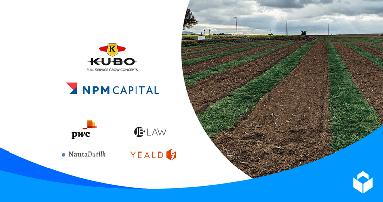 NPM Capital acquires minority stake in KUBO