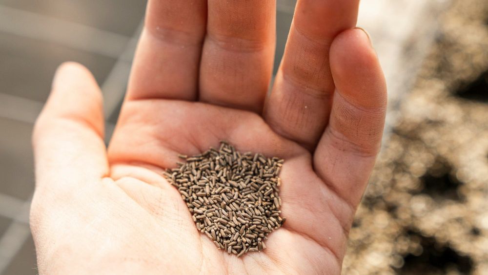 God's Ridiculous, Indiscriminate Love