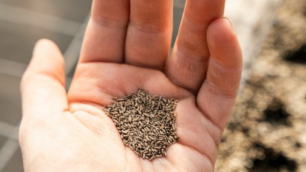 God's Ridiculous, Indiscriminate Love