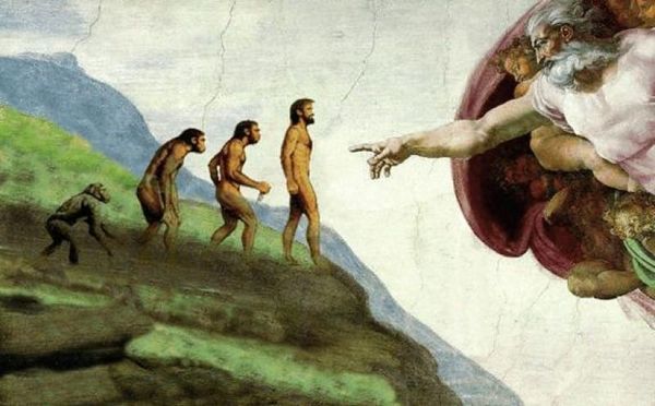 Does natural selection do metaphysical work?